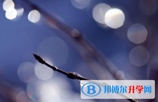 綿陽2021年中考成績查詢時間