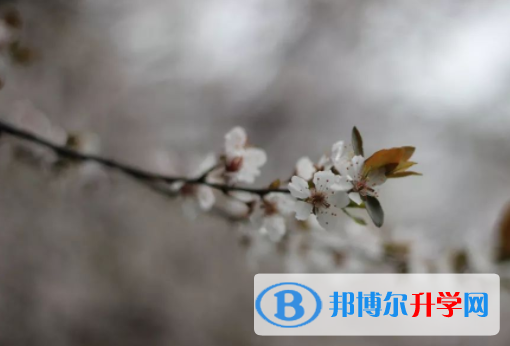 綿陽(yáng)2021年中考成績(jī)今年怎么這么高