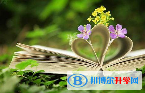 綿陽(yáng)2021年中考考點(diǎn)