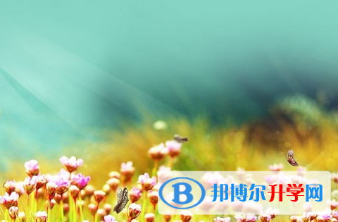 綿陽2021年中考考點有哪幾個
