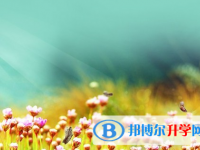 綿陽2021年中考考點(diǎn)有哪幾個(gè)