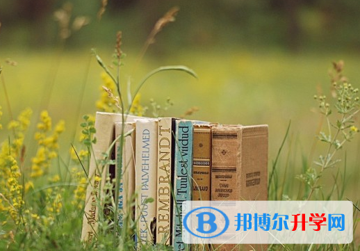 綿陽2021年中考考生人數