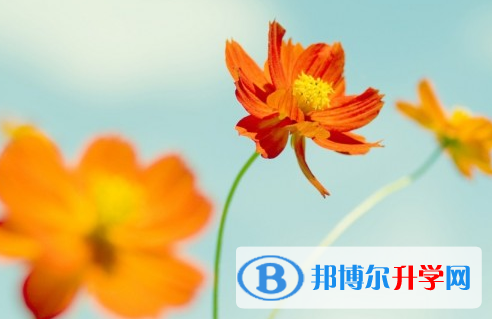 綿陽2021年中考錄取報名網
