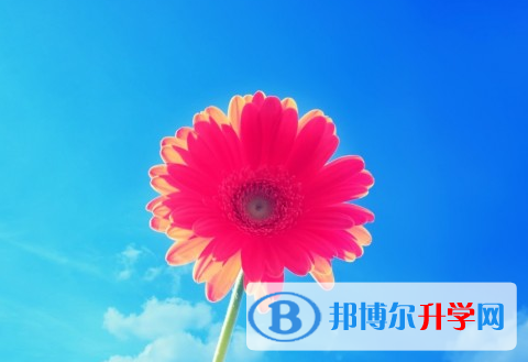 綿陽(yáng)2021年中考錄取名單