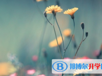 綿陽2021年中考錄取時(shí)間
