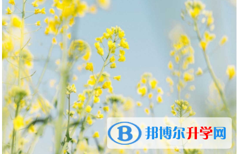 綿陽2021年中考特長生招生簡章