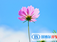 綿陽2021年中考網絡登錄