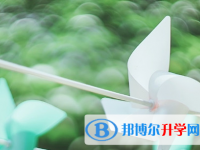 綿陽2021年中考網絡服務平臺