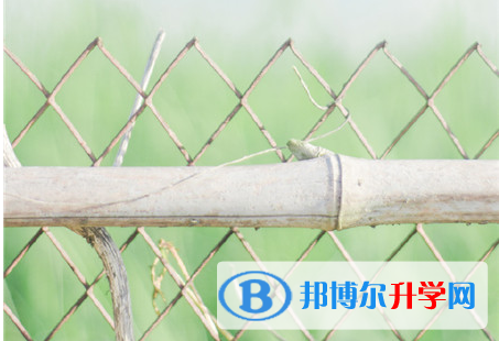 綿陽2021年中考網絡服務應用平臺