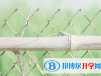 綿陽2021年中考網絡服務應用平臺