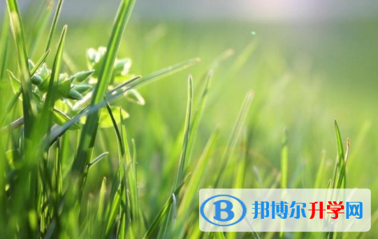 綿陽2021年中考網(wǎng)絡(luò)平臺