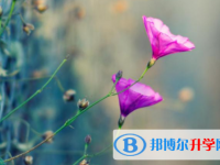 綿陽2021年中考網絡應用服務平臺