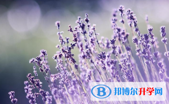 綿陽(yáng)2021年中考網(wǎng)絡(luò)應(yīng)用平臺(tái)