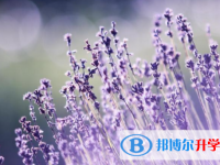 綿陽2021年中考網絡應用平臺