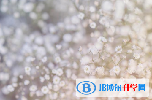 綿陽2021年中考網上報考信息平臺