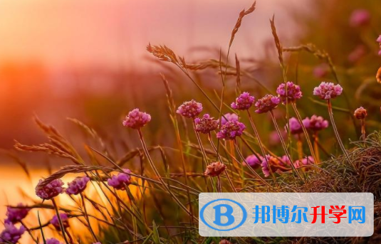 綿陽2021年中考網(wǎng)上報(bào)名模擬