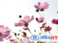 綿陽2021年中考網上報名系統
