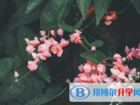 綿陽2021年中考網上模擬報名