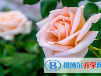 綿陽2021年中考線