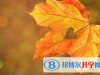 綿陽2021年中考藝體時間