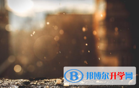 綿陽2021年中考招辦電話