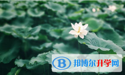 綿陽2021年中考招生計劃查詢