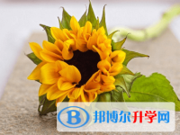 綿陽(yáng)2021年中考重點(diǎn)線