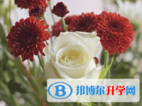 綿陽(yáng)2021年中考重點(diǎn)線錄取
