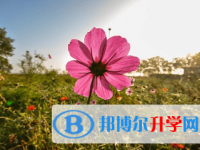 綿陽(yáng)2021年中考重點(diǎn)線上線率