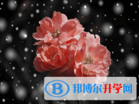 綿陽(yáng)2021年中考重點(diǎn)線是多少