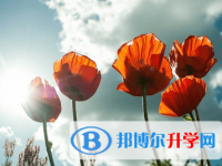 綿陽(yáng)2021年中考重點(diǎn)線預(yù)測(cè)