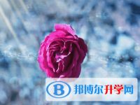 綿陽(yáng)2021年中考準(zhǔn)考證信息