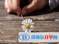 綿陽(yáng)2021年中考自主招生辦法
