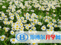 綿陽(yáng)2021年中考自主招生報(bào)名