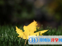 綿陽(yáng)2021年中考自主招生成績(jī)