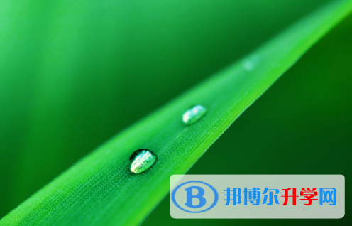 綿陽2021年今年中考統招線包括哪些區域