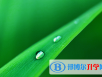 綿陽(yáng)2021年今年中考統(tǒng)招線包括哪些區(qū)域