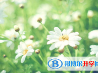 綿陽(yáng)2021年今年中考哪些學(xué)校有招生