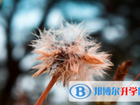 綿陽(yáng)2021年歷年中考錄取線