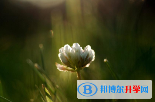 綿陽2021年中考報名學校