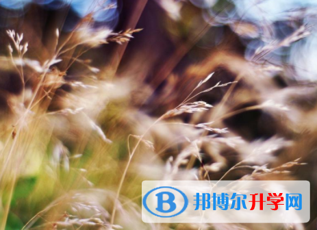 綿陽2021年中考的規(guī)則
