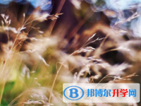 綿陽2021年中考的規則