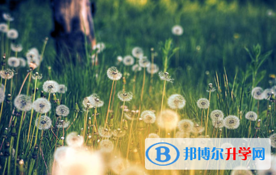 綿陽2021年中考的統招和調劑說明