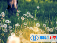 綿陽2021年中考的統招和調劑說明