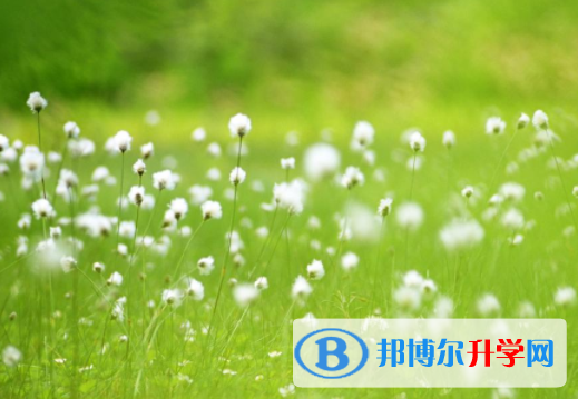 綿陽2021年中考孩子的營養餐