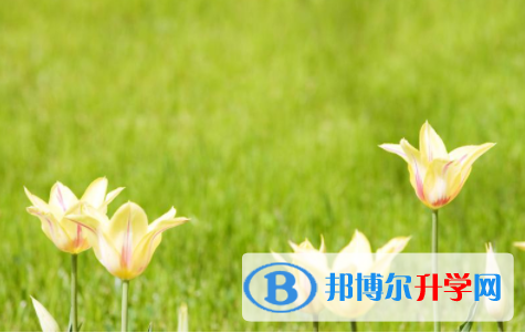 綿陽2021年中考后計劃
