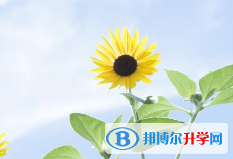 綿陽2021年中考技巧和注意事項