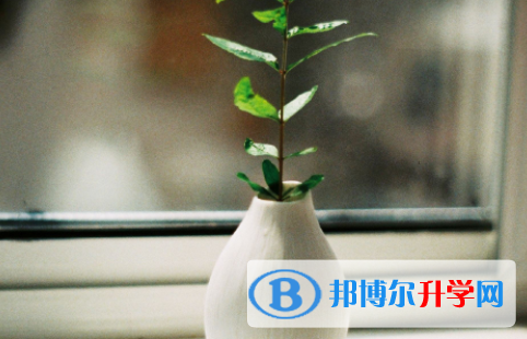綿陽2022年中考落榜生