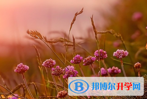 綿陽2022年中考時間安排