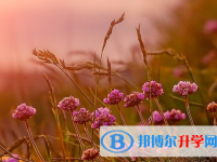 綿陽(yáng)2022年中考時(shí)間安排